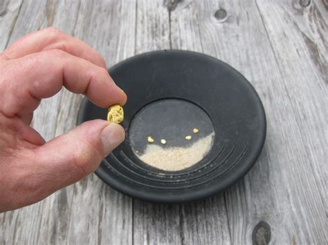 Gold Panning North Carolina - North Carolina Gold Mine