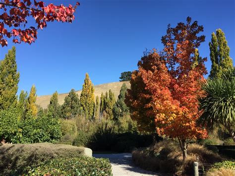 autumn colours - Guest New Zealand