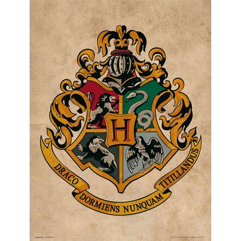 Harry potter Hogwarts Crest Print 30X40 Cm Multicolor | Kidinn