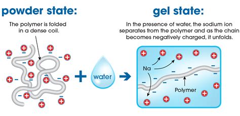 Super Absorbent Polymer Overview - Gelok InternationalGelok International