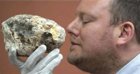 Ambergris, The 'Whale Vomit' That's More Valuable Than Gold