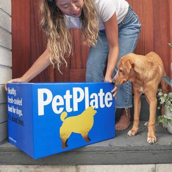 8 Best Fresh Food Delivery Services For Dogs · The Wildest