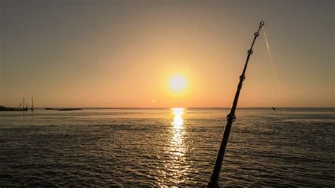 The Best Fishing Spots in Louisiana: Sportsman’s Paradise