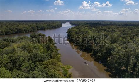 Fishing Louisiana Bayou Stock Photos - 498 Images | Shutterstock