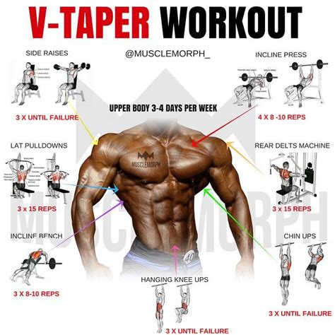 Looking to Develop The V-Taper 🤔💥TRY THIS WORKOUT & FOLLOW @musclemorph_ for more fitness tips ...