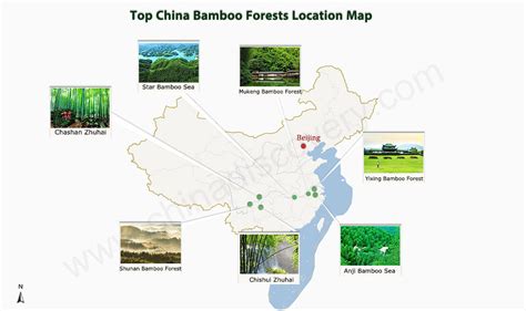 Bamboo Forest China Map