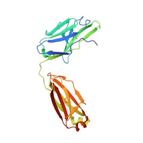 RCSB PDB - 3G04: Crystal structure of the TSH receptor in complex with ...