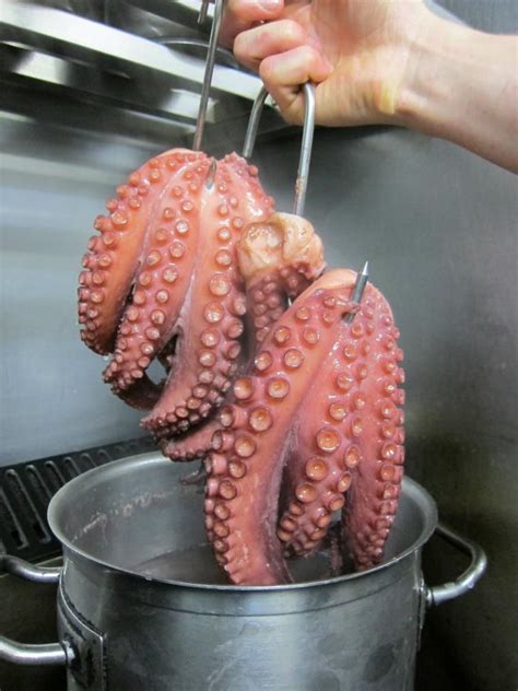 How to Cook Octopus - Good Fish Bad Fish