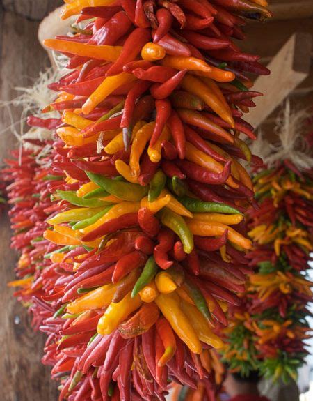 How to Dry Chili Peppers | Dried chili peppers, Stuffed peppers, Hot pepper recipes