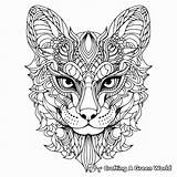 Head Coloring Pages  Free & Printable sketch template