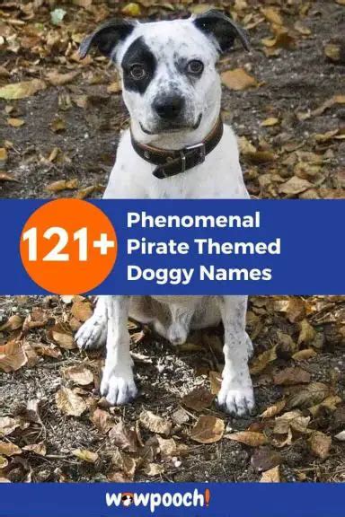 121+ Phenomenal Pirate Themed Doggy Names - WowPooch