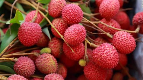 5 top health benefits and nutritional facts of Litchi fruit