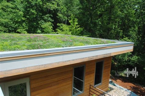 What Is a Living Roof? > ENGINEERING.com