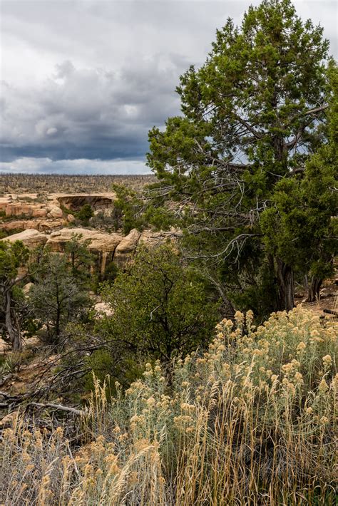 Mesa Verde National Park views | Stormy October weather | Flickr