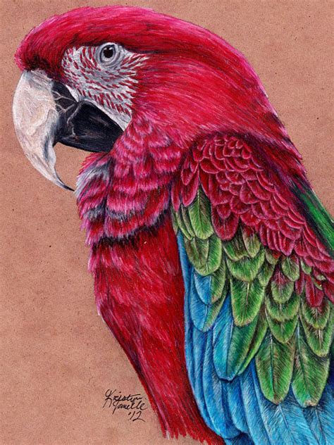 Beautiful Bird Drawings | Best Choice