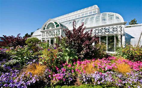 Volunteer Park Conservatory in Seattle Is Livestreaming Plants to Help You Relax | Travel + Leisure