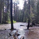 Photos of Morrell Falls National Recreation Trail - Montana | AllTrails