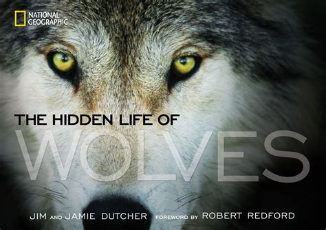 White Wolf : The Hidden Life of Wolves - New book by Jim & Jamie Dutcher