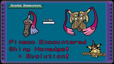 LIVE! Shiny Honedge on Pokemon Y! (Magnet Pull) + Evolution! - YouTube