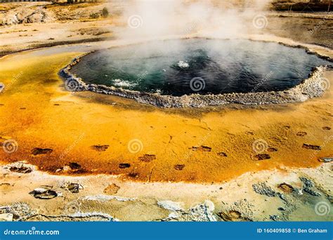 Fumarole in Yellowstone National Park Stock Photo - Image of yellow, national: 160409858