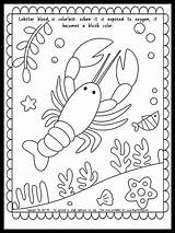 Lobster Coloring Page With Fun Fact About Blood  FREE Printable The sketch template