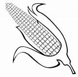 12 Fun Real And Cute Corn Coloring Pages For Kids  sketch template