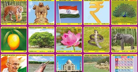 National Symbols of India, Royal Bengal Tiger, Rupee, Peacock, Mango ...