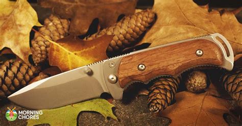 6 Best Hunting Knife Reviews: Ideal for Hunting, Fishing, and Survival