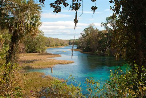 Rainbow Springs Sandhill Trail | Florida Hikes!