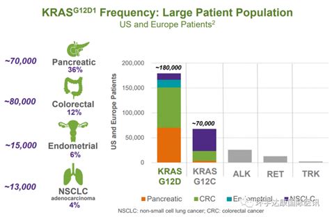 KRAS靶点介绍,KRAS G12C、KRAS G12D抑制剂等5大新KRAS靶向药物,KRAS基因突变临床试验招募患者有救了_ kras - 神拓网