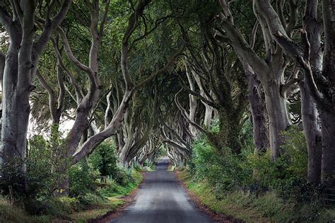 Dark Hedges, Northern Ireland - Unique Places Around The World ...