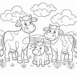 Cow Coloring Pages 13  Gem sketch template