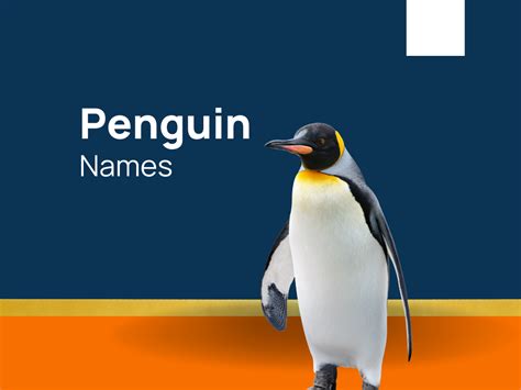 1250+ Penguin Names From Pebbles to Frostbite! (+Generator)