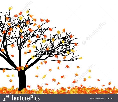 Fall Tree Vector at Vectorified.com | Collection of Fall Tree Vector free for personal use