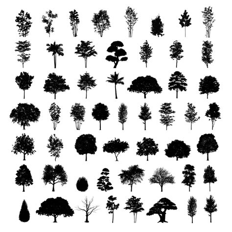 Photoshop Brushes - 54 Trees | Tree photoshop, Silhouette architecture, Photoshop