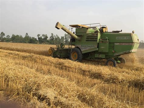 Wheat harvest expected to exceed 2 million tonnes, set new record