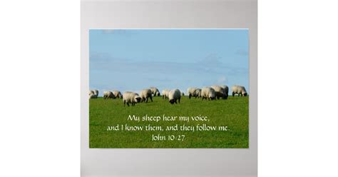 My Sheep Hear My Voice Poster | Zazzle