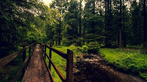 Gougane Barra: Where to Hike, Cycle & Stay in Cork’s Magical Forest