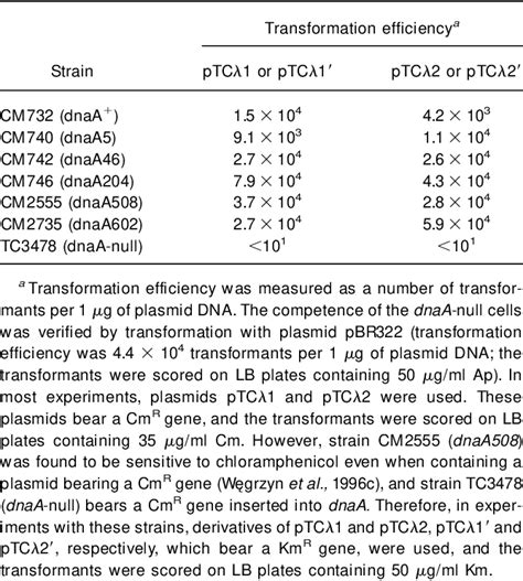 Table 1 from DnaA-Mediated Regulation of Phage λ-Derived Replicons in the Absence ofpRand Cro ...