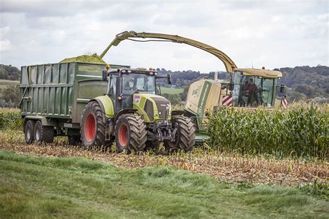 The Advantages & Disadvantages Of Maize Silage | Ecosyl