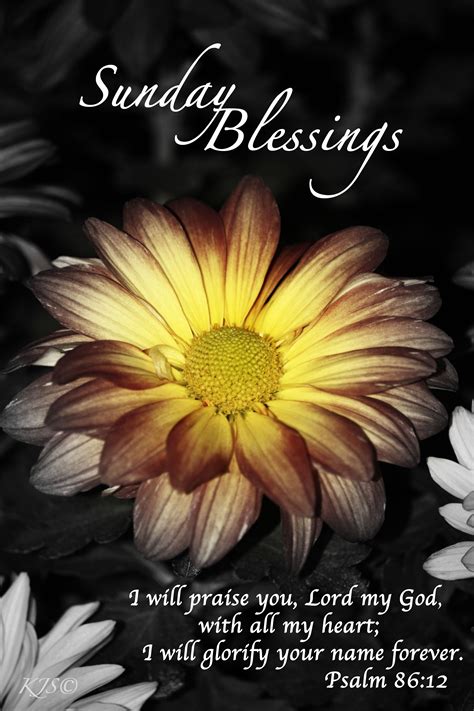 Sunday Blessings Pictures, Photos, and Images for Facebook, Tumblr, Pinterest, and Twitter