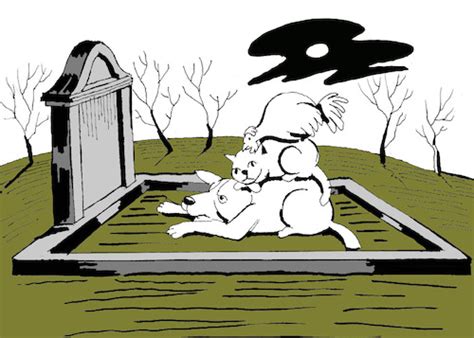 Dead Donkey... By berk-olgun | Media & Culture Cartoon | TOONPOOL