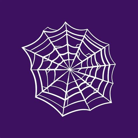 Premium Vector | Sticky spider web