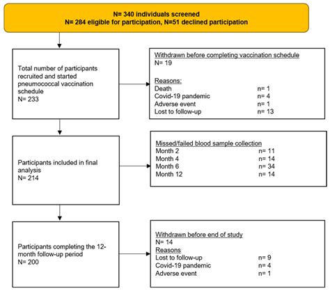 Vaccines | Free Full-Text | Immunogenicity of the 13-Valent Pneumococcal Conjugate Vaccine ...