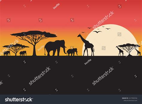 African Safari Sunset Scenery Vector Nature Stock Vector (Royalty Free ...