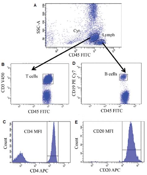 cd20_expression_level_1.gif