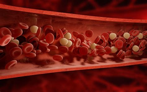 Dangers of high homocysteine levels and how to reduce it