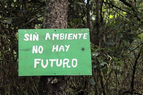 Ancient Spirituality Guides a Maya Town’s Conservation Efforts - EcoWatch