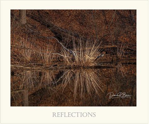 Reflections Photograph by Dennis Bean - Fine Art America