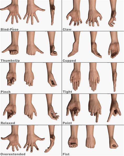 Reference image with different hand poses; slightly different than the previous one | Hand pose ...